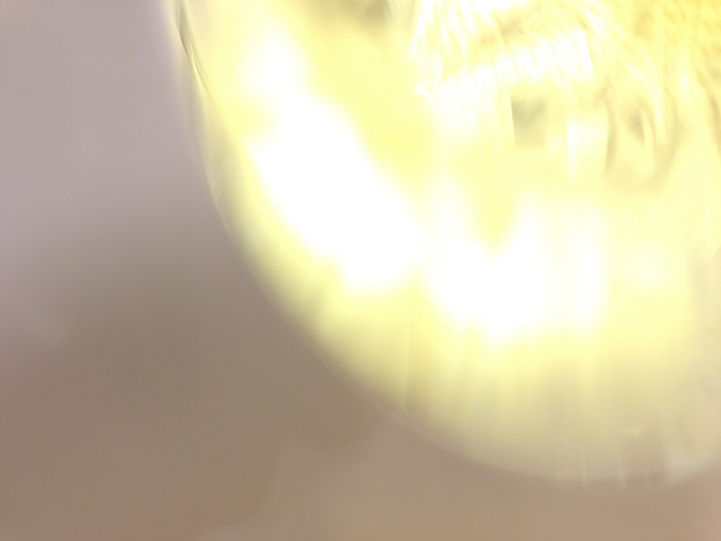 blurry_pic