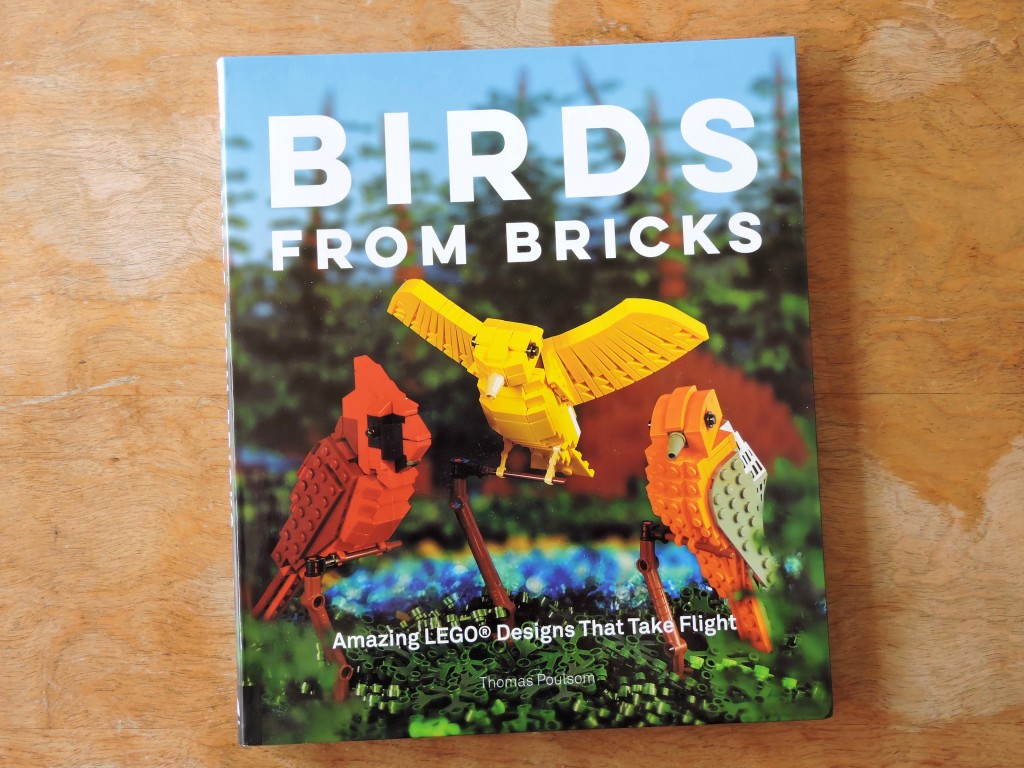 birds_from_bricks_cover